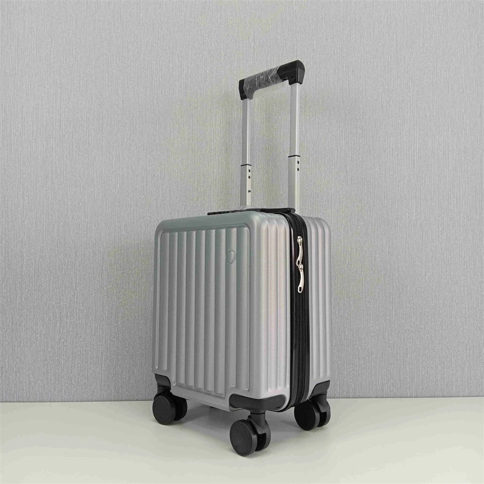 The Under Seat Luggage price